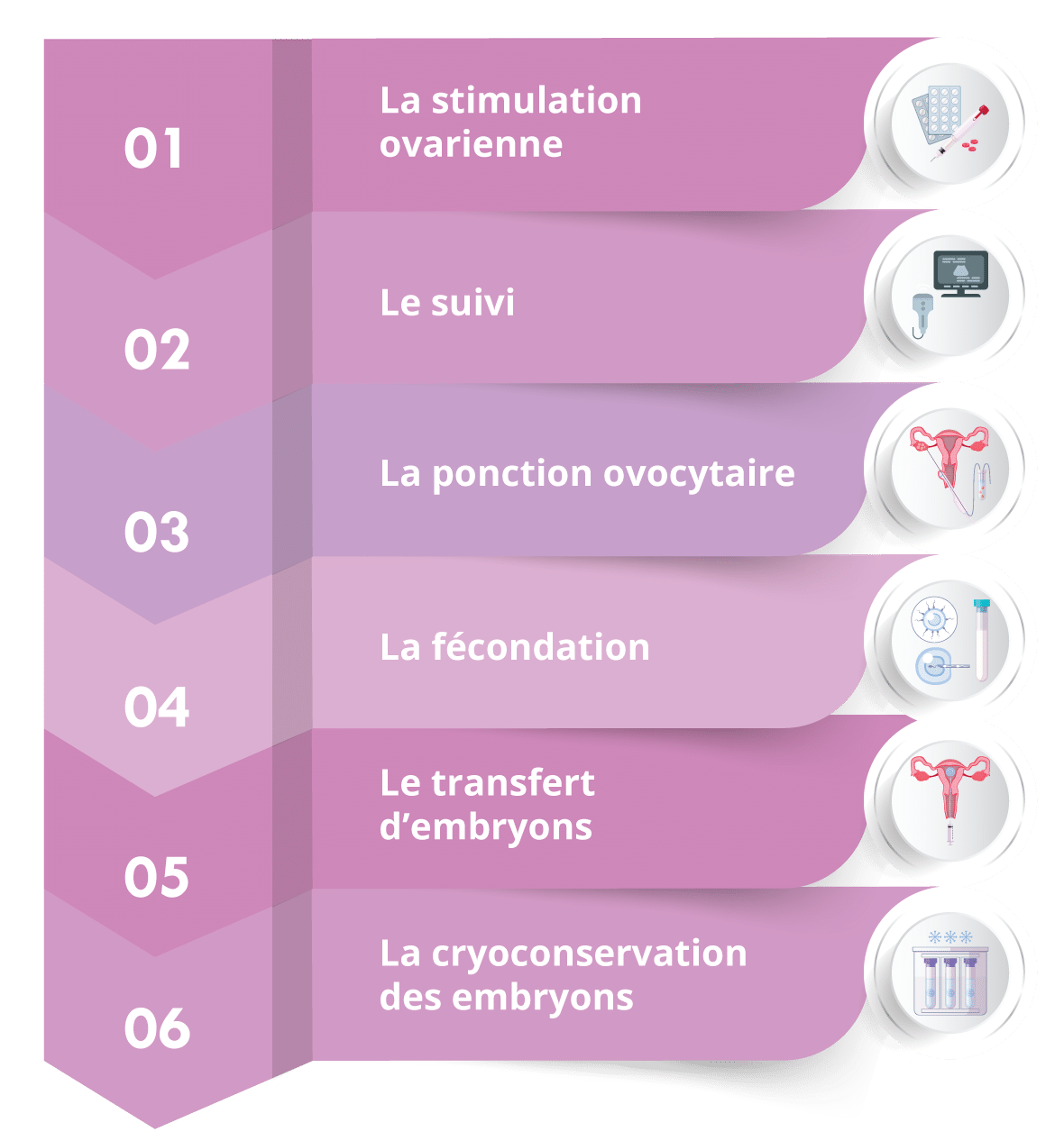 La Fécondation In Vitro (FIV) - Institute Of Life